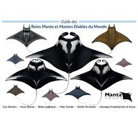 Guide des Raies Manta et Mantes Diables du Monde