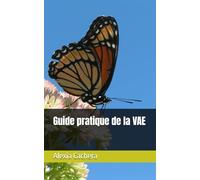 Guide pratique de la VAE: Comment valider vos compétence et obtenir un diplôme?
