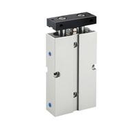 Guide Rod Plate Double Rod Cylinder Slide Bearing, Aluminum Alloy Pneumatic Cylinder Guided Double Rod Multiple Sizes(5MM*16MM)