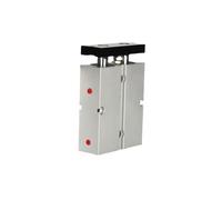 Guide Rod Plate Double Rod Cylinder Slide Bearing, Pneumatic Cylinder Guide Rod Type Double Shaft Double Rod Series 16x(5-300) mm(16x25mm)