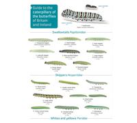 Guide to caterpillars of the butterflies of Britain and Ireland