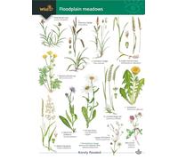 Guide to Floodplain Meadows (WildID)