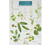 Guide to Foraging: Top 25 Edible Plants