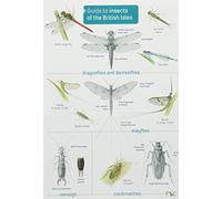 Guide to Insects of the British Isles (Chart) by Richard Lewington (2012-08-09)
