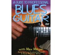 Guide to Professional Blues Guitar [DVD] [2005] [Region 1] [US Import] [NTSC]