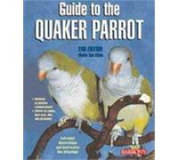 Guide to Quaker Parrot