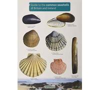 Guide to the Common Seashells of Britain and Ireland