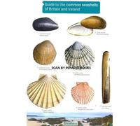 Guide to the Common Seashells of Britain and Ireland (Chart) by Field Studies Council (2013-02-22)