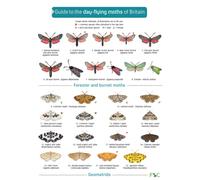 Guide to the Day-Flying Moths of Britain