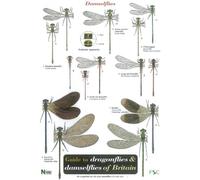Guide to the Dragonflies and Damselflies of Britain: No. 53 (Occasional Publications S.)
