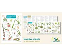 Guide to the non-native invasive plants of Britain and Ireland