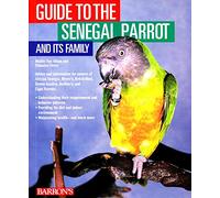 Guide to the Senegal Parrot