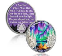 Guided by Northern Lights 5 Year Sobriety Coin - One Day at a Time AA Coin, Alcohol Free Anniversary Recovery Chip with Token Capsule, Inspirational Sobriety Gifts for Men & Women