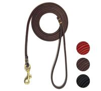 Guiding Star Leather Dog Leash 6 ft x 1/4 inch,Thin and Lightweight Leather Leashes for Small Dogs,Leather Cat Leashes for Small Cats,Soft Genuine Leather Dog Training Leashes for Petite Dogs Brown