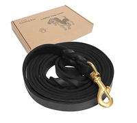 Guiding Star Leather Dog Leash 8ft, Heavy Duty Braided Leather Dog Training Walking Running Leash, Soft Durable Long Leather Leash Lead for Large, Medium & Small Dogs, Black