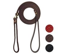 Guiding Star Leather Slip Lead Dog Leash for Small Dogs & Puppies 6 Ft x 1/4 Inch,Luxurious and Lightweight Leather Training Dog Leash for Walking with Soft Handle (Brown)