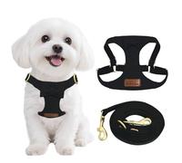 Guiding Star Puppy Harness and Leash Set, No Pull Lightweight Soft Adjustable Escape Proof Pet Harness Vest with Multifunction Dog Leash for Puppy Small Size Dog (Black-S)