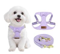 Guiding Star Puppy Harness and Leash Set, No Pull Lightweight Soft Adjustable Escape Proof Pet Harness Vest with Multifunction Dog Leash for Puppy Small Size Dog (Purple-XS)