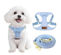 Guiding Star Puppy Harness and Leash Set, No Pull Lightweight Soft Adjustable Escape Proof Pet Harness Vest with Multifunction Dog Leash for Puppy Small Size Dog (Sky Blue-XXS)