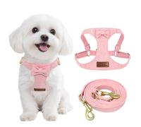 Guiding Star Puppy Harness and Leash Set, No Pull Lightweight Soft Adjustable Escape Proof Pet Harness Vest with Multifunction Dog Leash for Puppy Small Size Dog (Pink-XXS)