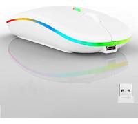 Guiheng Wireless Bluetooth Mouse,LED Dual Mode Rechargeable Silent Slim Laptop Mouse,Portable(BT5.2+USB Receiver) Dual Mode Computer Mice,for Laptop,Desktop Computer,ipad Tablet,Phone,Mac (White)