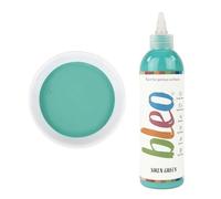 Guild Lane Bleo Fabric Paint - Upcycle & Transform Textiles, Wood and Cork - Non-Toxic, Waterproof & Fade-Resistant - Easy to Apply Paint (Siren Green, 250ml)