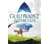 Guild Wars 2: Magical Unicorn Horn Set (PC) - Official Website Key - GLOBAL