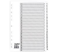 Exacompta - Ref MWD1-31Z - Mylar Printed Indices - For Use WithA4 Documents, Pre-Punched, 160gsm White Card with Reinforced Plastic Tabs, FSC-Certified - 31-Part Dividers (1-31)