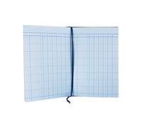 Guildhall Account Book Casebound 298x203mm 5 Cash Columns 80 Pages Blue