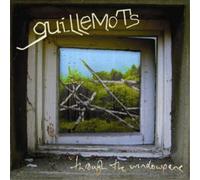 Guillemots – Through The Windowpane
