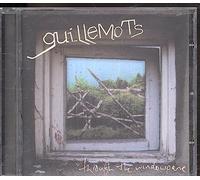 Guillemots – Through The Windowpane