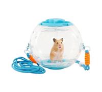 Guinea Exercise Ball Portable Large Clear Silent Running Ball