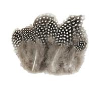 Guinea Fowl Feathers, 100 Pack 6-12cm/2.36-4.72 Inch Natural Speckled Feathers for DIY Art Craft Collage Headdress Home Wedding Birthday Party Decoration (Primary Color)