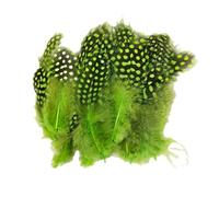 Guinea Fowl Feathers, 100 Pack 6-12cm/2.36-4.72 Inch Natural Speckled Feathers for DIY Art Craft Collage Headdress Home Wedding Birthday Party Decoration (Green)