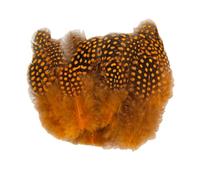 Guinea Fowl Feathers, 100 Pack 6-12cm/2.36-4.72 Inch Natural Speckled Feathers for DIY Art Craft Collage Headdress Home Wedding Birthday Party Decoration (Orange)