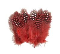 Guinea Fowl Feathers, 100 Pack 6-12cm/2.36-4.72 Inch Natural Speckled Feathers for DIY Art Craft Collage Headdress Home Wedding Birthday Party Decoration (Red)