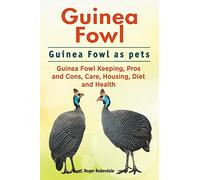 Guinea Fowl. Guinea Fowl as pets. Guinea Fowl Keeping, Pros and Cons, Care, Housing, Diet and Health.