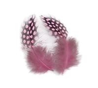 Guinea Hen Feathers for DIY Craft, 50 Pieces, Mixed Colours, 2.5cm-10cm, Soft Embellishments for Headwear, Brooch Making (Pink)