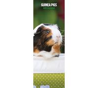 Guinea Pig 2025 Slim Calendar