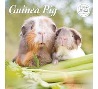 Guinea Pig 2026 Deluxe Calendar