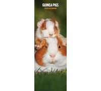 Guinea Pig 2026 Slim Calendar