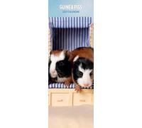 Guinea Pig 2027 Slim Calendar