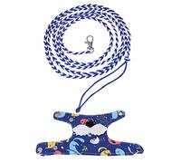 Guinea Pig Carrier, Guinea Pig Harness Small Pet Squirrel Harness Cartoon Vest Clothes with Leash for Ferret Chinchilla Squirrel (2)