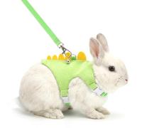 Guinea Pig Harness and Leash Set for Small Pets, Adjustable Vest Harness with Bell, Dinosaur Design Ferret Leash for Guinea Pig, Rabbit, Hamster, and Teacup Chihuahua, Breathable Polyester, Green