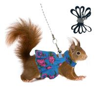 Guinea Pig Harness Skirt Clothes and Leash, Adjustable Hamster Ferret Harness and Leash Set, No Pull Walking Vest for Ferrets, Chinchillas and Similar Small Animals (Blue, M)
