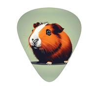 Guinea Pig Illustration Print Organizer Storage Box Different Thickness Guitar Picks For Acoustic Guitar