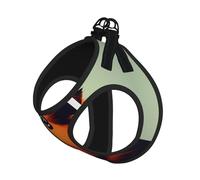 Guinea Pig Illustration Print Pet Leash Vest Reflective Adjustable Soft Mesh Vest Breathable For Daily Walks