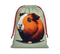Guinea Pig Illustration print Super soft velvet Christmas bag, fit for Halloween promotion and daily storage