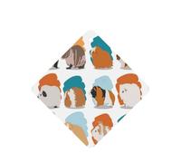 Guinea Pig Illustration Printing 10 Pieces Air Freshener Car Hanging Cards Air Freshener Sheets With Rope For Cars Home