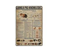 Guinea Pig Knowledge The Anatomy Of A Guinea Pig Metal Tin Sign Knowledge Poster Metal Wall Plaque Vintage Wall Art Decor Artwork Printing Gift For Home Shop Office Garden Garage Bar Outdoor 12"x8"